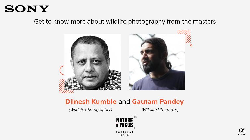 sony_india's tweet photo. Experience #SonyGMaster SEL600F40GM &amp; #SonyGlens SEL200600G @NatureIn_Focus Festival's Sony booth from 2nd-4th Aug in Bangalore to understand the nuances of Wildlife photography and cinematography from #SonyArtisans @dkumble &amp; @RiverbankStudio. Know more: https://t.co/tgdwX3RTpB https://t.co/FjWRo5mW58