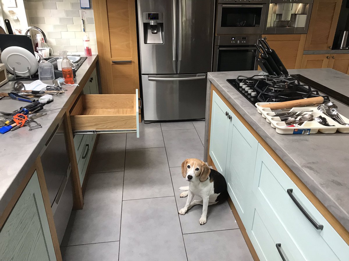 Mum was listening to <a href="/achrisevans/">Chris Evans</a> talk about cleaning the cutlery drawer as she put the washing up away....
Now the cutlery drawer is all over the kitchen as she’s cleaning it! 🙄