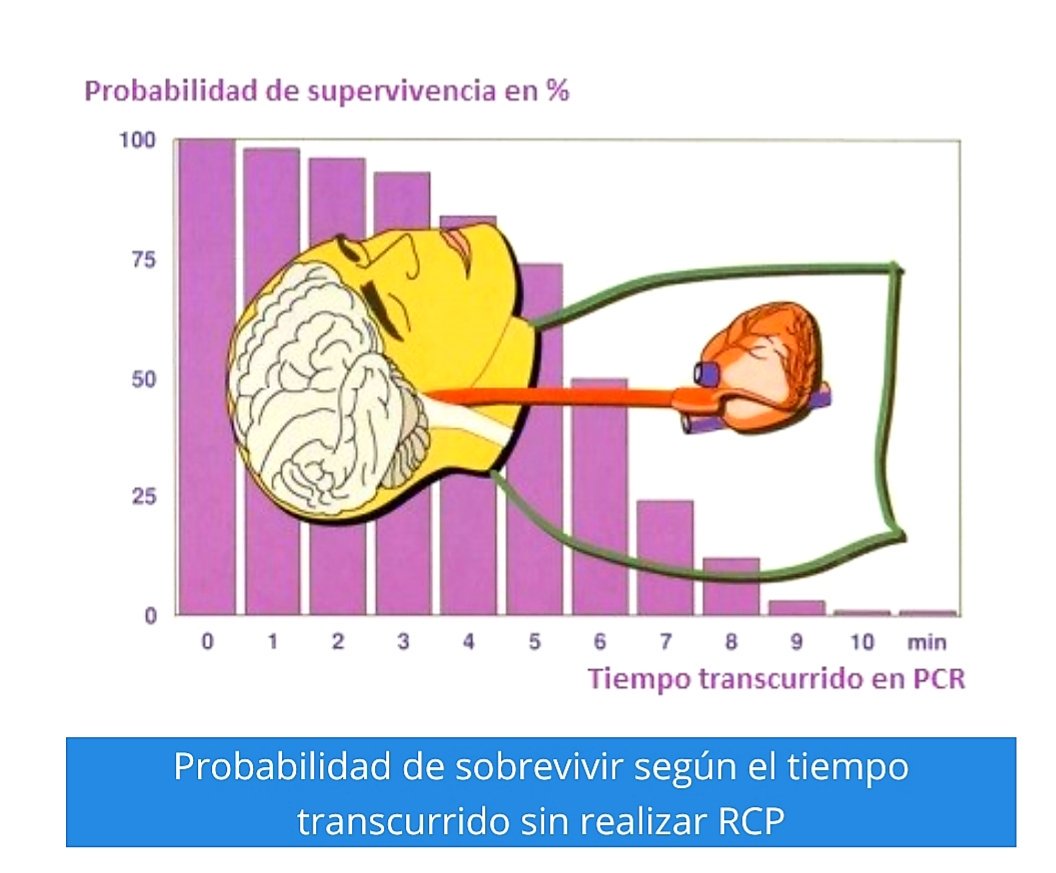 aines80's tweet photo. Cada minuto de retraso no inicio das maniobras da #RCP conta negativamente na supervivencia.
As nosas mans poden salvar vidas.
#urxencias #emerxencias #RCPbasica https://t.co/ShkLN3QLnc
