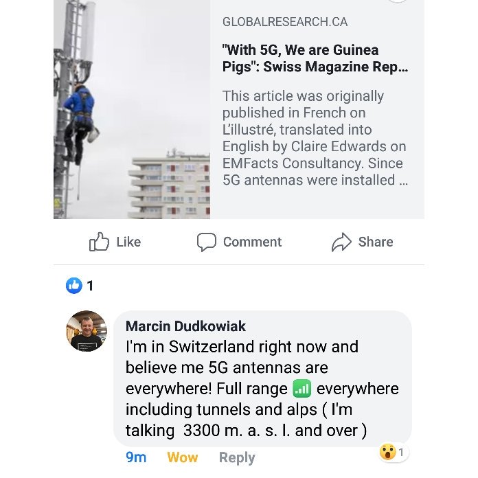 wackywild1's tweet photo. Read the comment from someone in Switzerland. #stop5G https://t.co/y4MBCBXoc3