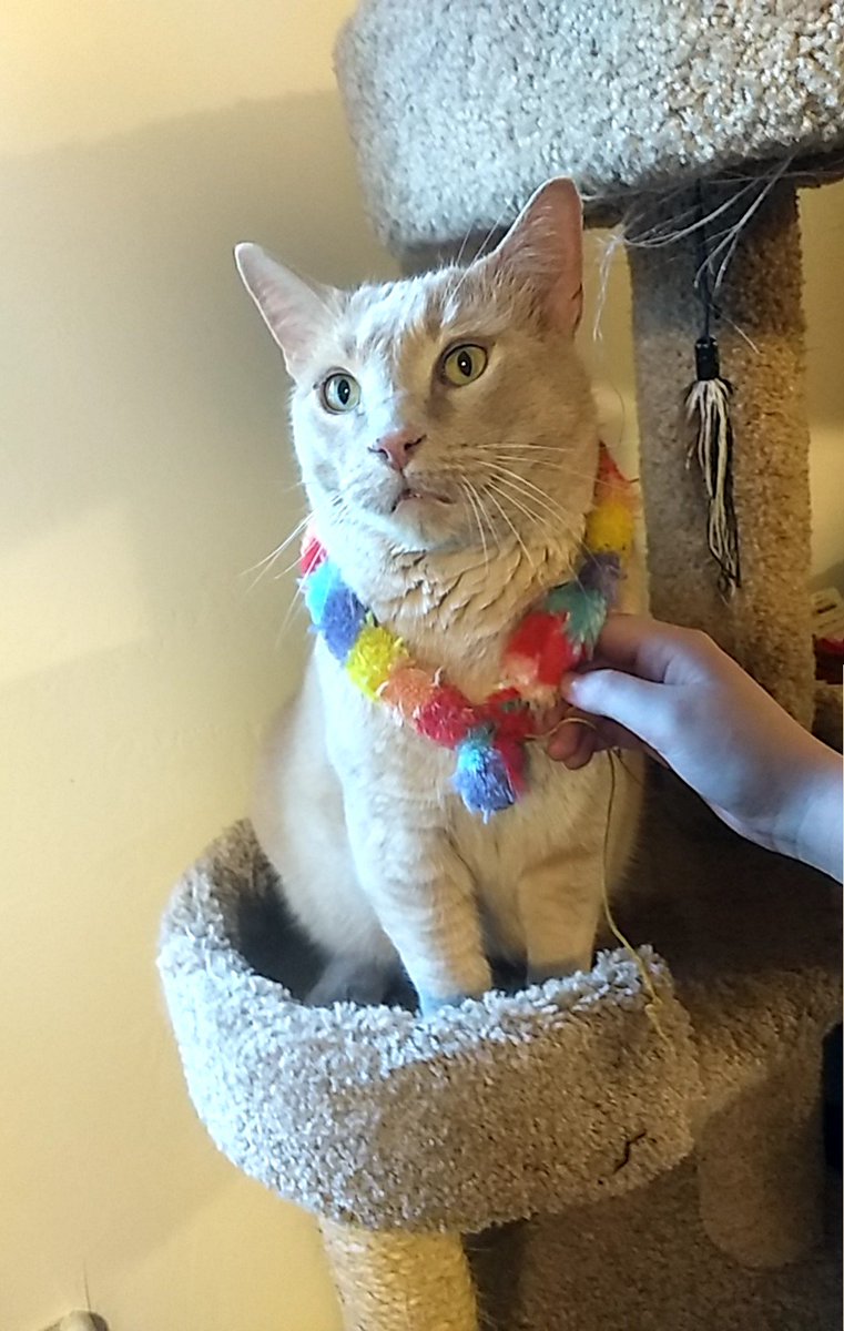 GarfMic's tweet image. A visit to I, Sir Garf, has been paid at last.