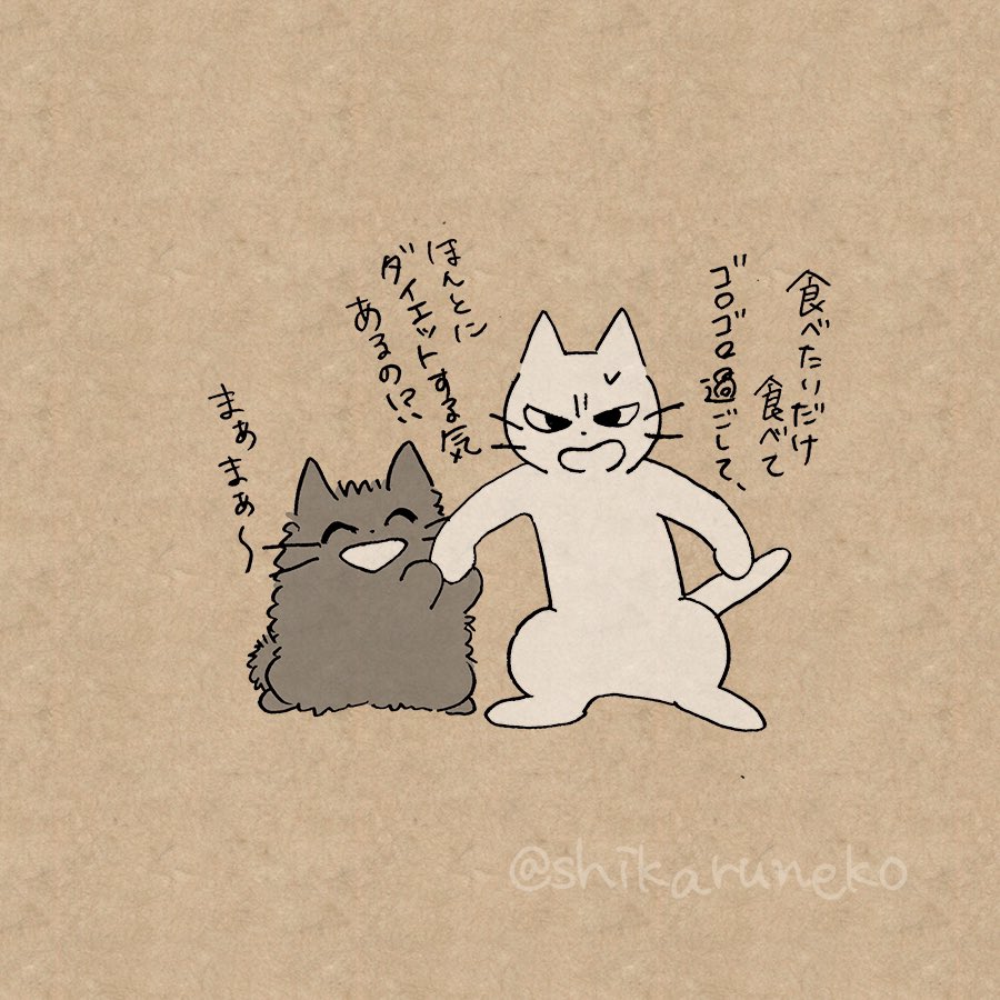 夏になって後悔しつつも今なおダイエットしない人と、しかるねこと、あまやかすねこ 