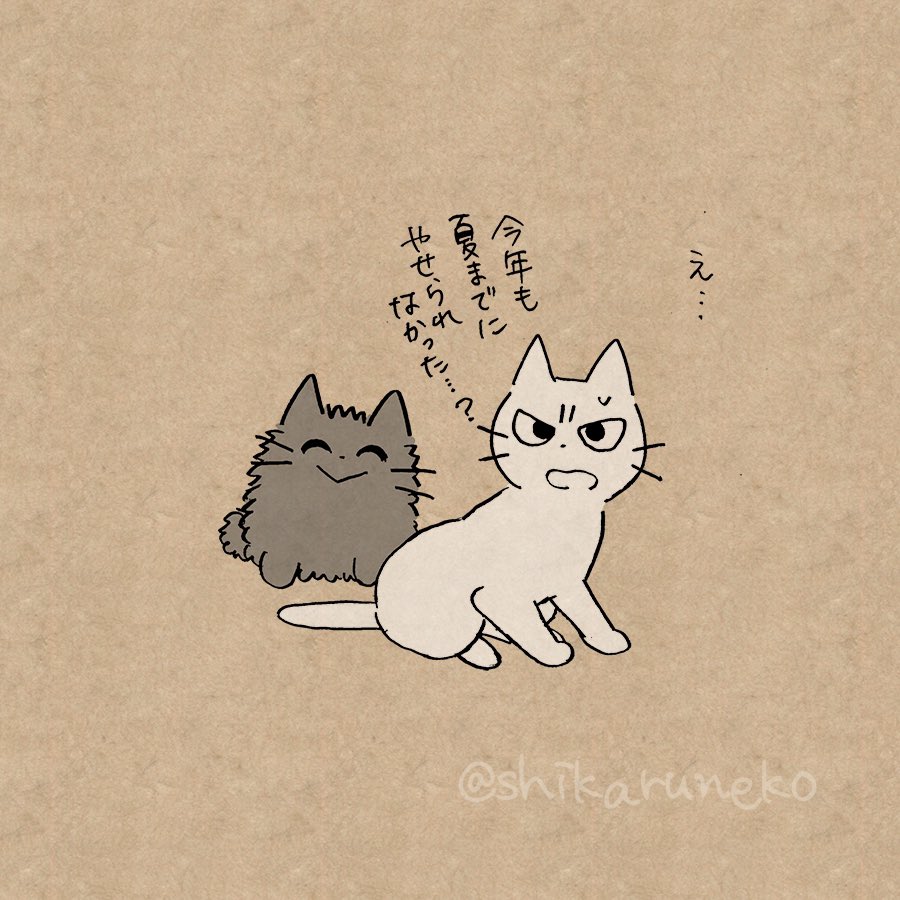 夏になって後悔しつつも今なおダイエットしない人と、しかるねこと、あまやかすねこ 