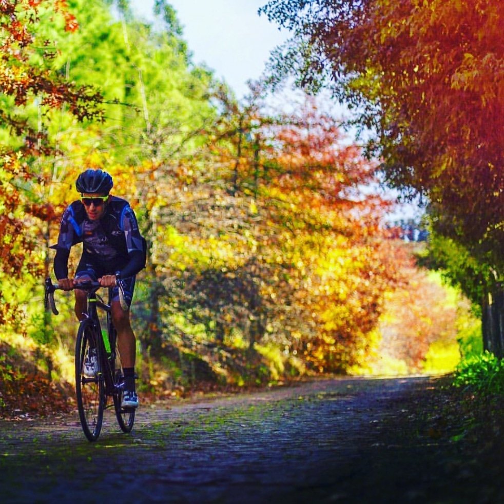 Cafe Pavè tweet media