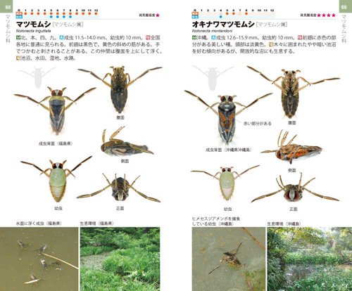 文一総合出版 公式 新刊発売中 つ Twitter પર タガメやタイコウチを中心に 水生のカメムシ目13科種2亜種を掲載 水田 小川などにすむ水生昆虫がわかる 水生昆虫シリーズ 三田村敏正 平澤桂 吉井重幸 水生昆虫 タガメ ミズムシ