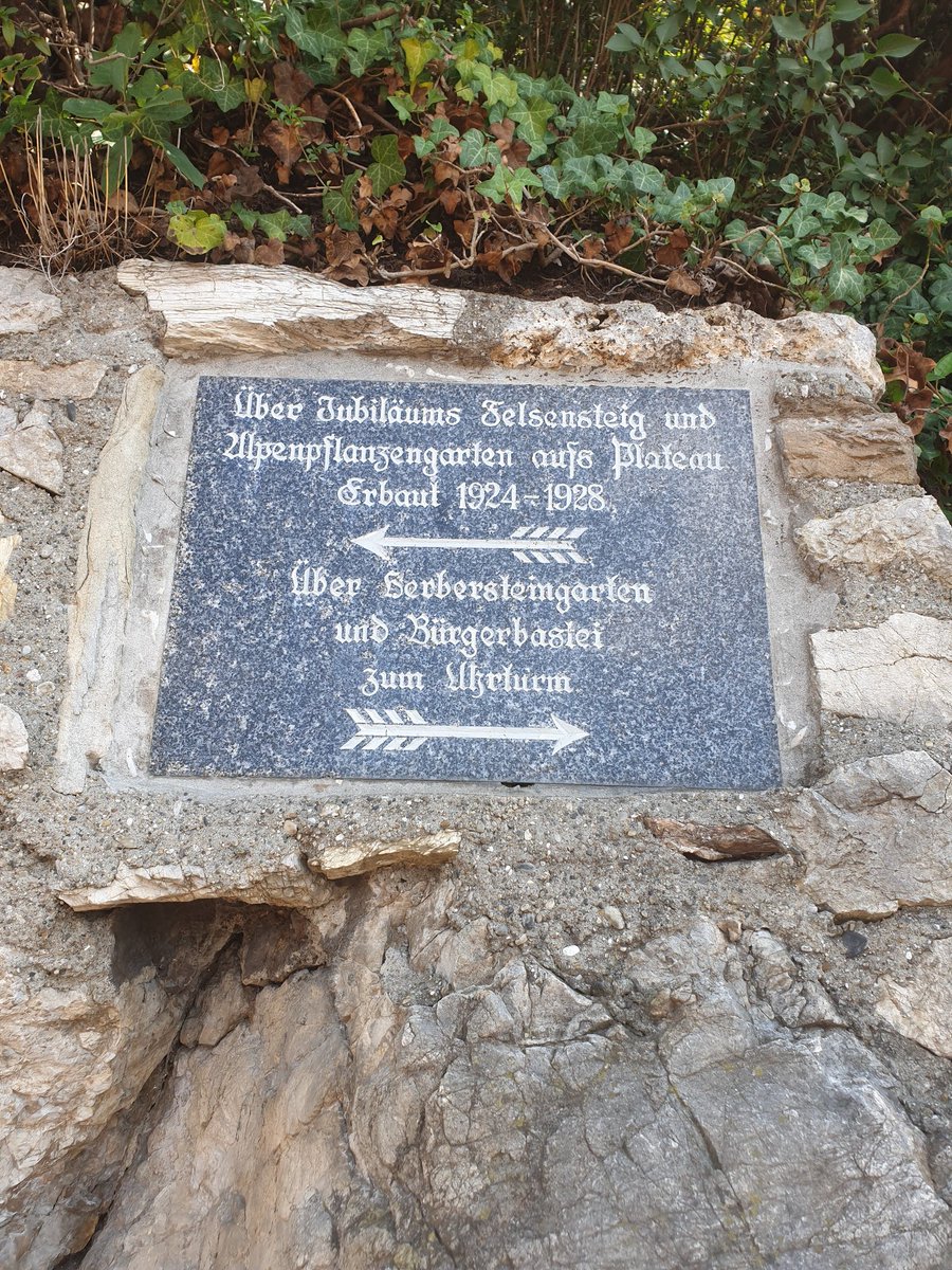 91. Carried on and saw the first sign. Didn't understand shit, so I took the left turn. Got time to take more pictures of myself, because I was alone on the trail. If you must got to touristy places, I think early morning is best. Not crowded.