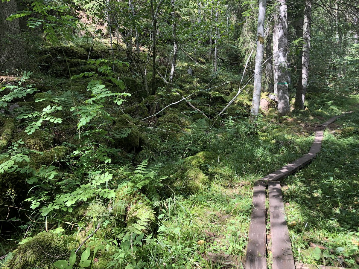 AmbAnnaBrandt's tweet photo. Perfect day for a long hike on #Omberg, a mythical mountain by lake #Vättern, the deepest and second largest lake in #SWE🇸🇪.
🍃🌿🏃♀️@visitsweden https://t.co/c3x17klrR3
