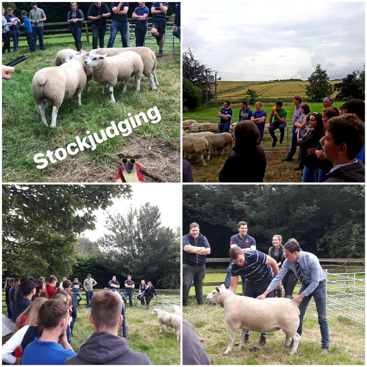 Thankyou to eveyone who attended our stockjudging meeting last night. A fantastic turnout saw 48 competitors take part. Big shout out to the Orr Family who kindly hosted us at Pitlochie Farm and judge Scott Bourman. Well done to overall winner James McKerrow who scored 263 <a href="/SAYFC/">SAYFC</a>