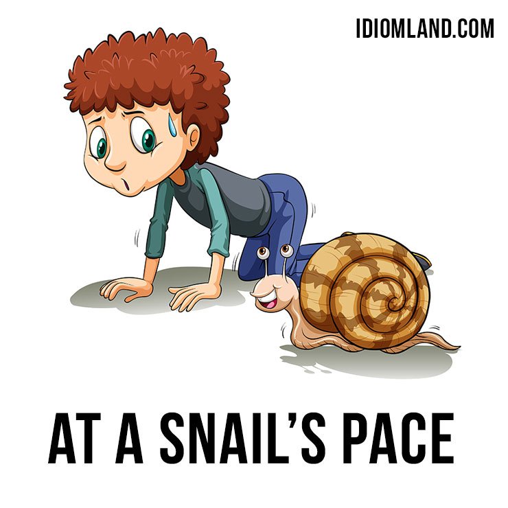 idiomland's tweet photo. Hi guys! Our #idiom of the day is ”At a snail's pace”, which means “very slowly.”
It’s an old idiomatic phrase, used since about the 15th century.
#english #idioms #atasnailspace https://t.co/ODjuTuinu5