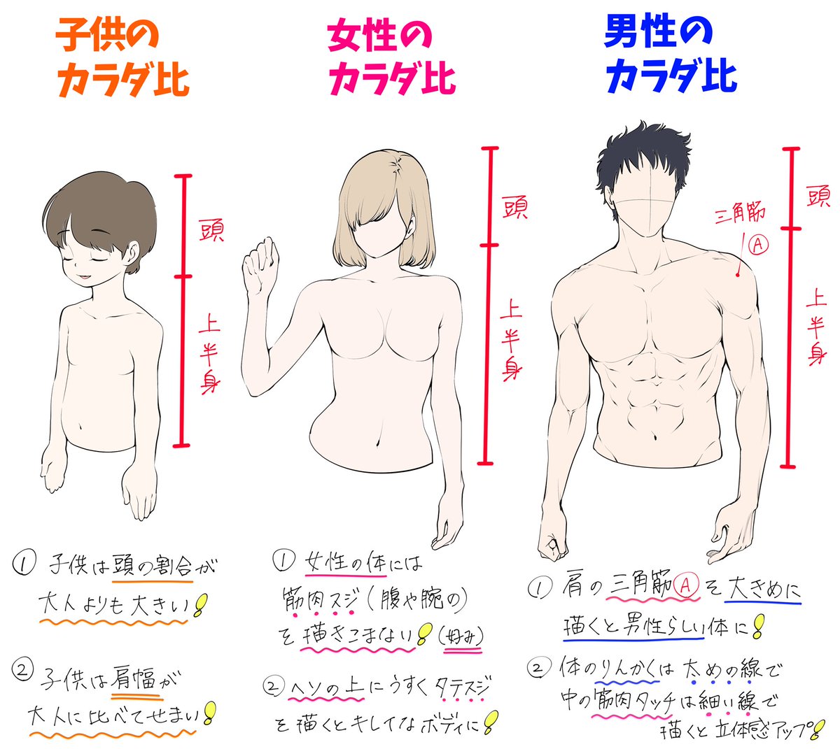 吉村拓也 イラスト講座 子供 女性 男性 の 手 腕 上半身 を描くときの カラダ比パターン表 作りました T Co Tdzbii1mha Twitter