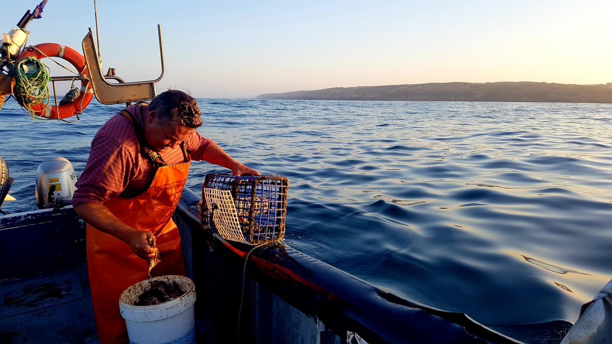 JooPedr83942357's tweet photo. 🐙#MARSW project. 🦈🐡🐟🐠
We are now in close contact with fishermen and fisheries to monitor the effects of the Marine Protected Area of Parque Natural do Sudoeste Alentejano e Costa Vicentina. Artisanal fisheries on the historical village of Vila Nova de Milfontes, Portugal. https://t.co/ojtqCfSKS7