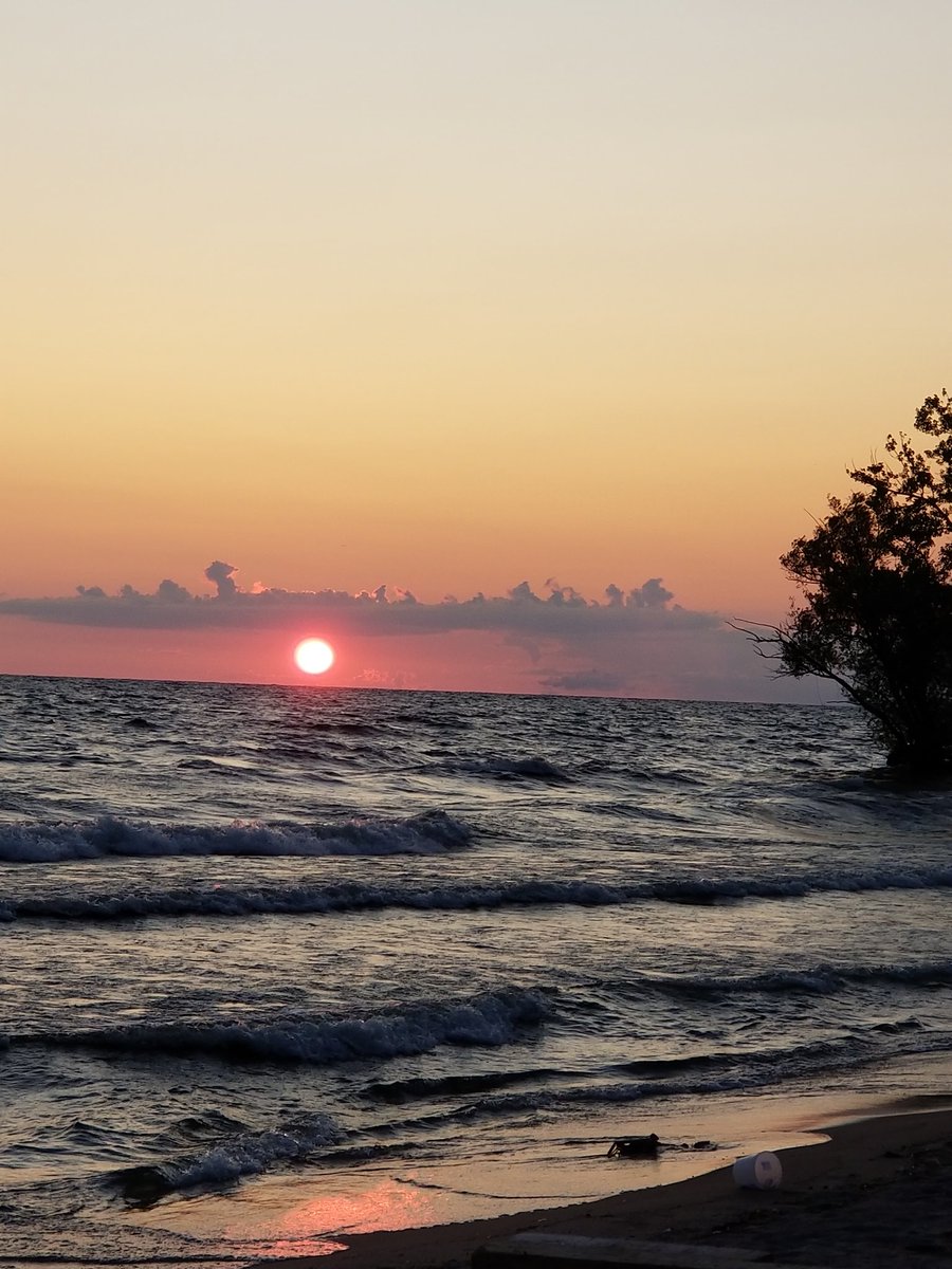RareCat's tweet photo. To find happiness focus not on what you want but on what you have #HaveAHappy @GMA @mhpbroker @DeWildeMKTKD @rmccollo @slicknick52 @BarryVee @BobDuffyROC @whec_rcaniglia @maximus5_ed @scotthetsko @Lisaa211Lisa @ancestors9 @writerdiehl @AllanMargolin @enriquillo2 @CamilleRutan GBU https://t.co/HxUxkoyU46