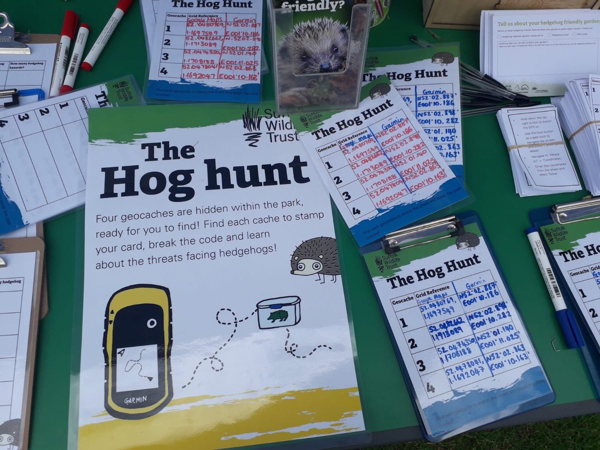 Ipswich Hedgehogs tweet media