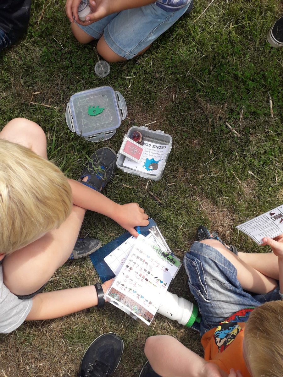 Ipswich Hedgehogs tweet media