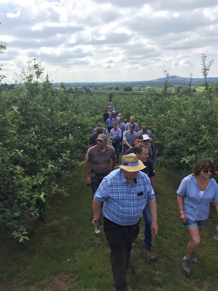 JohnnyColman2's tweet photo. Great turnout at the @NACMCiderMakers open day kindly hosted by @thatchers_cider https://t.co/CYCzaHVRA9