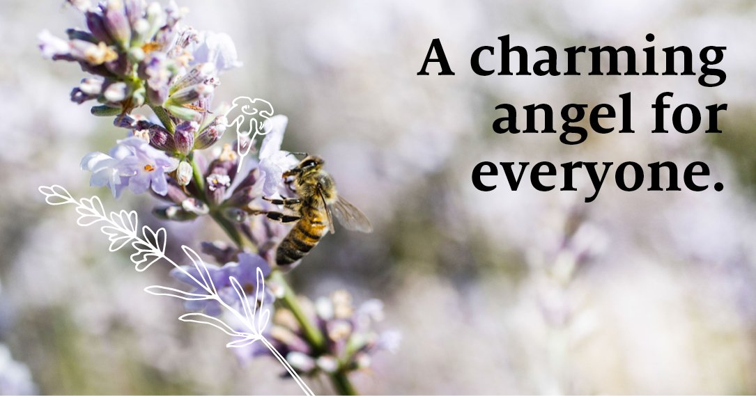 SymriseAG's tweet photo. #Lavender exists in hundreds of varieties. In cooperation with #CRIEPPAM research institute, we have developed an
additional quality, called “Lavende Angèle“. Btw: It comes with a heavenly olfactory profile: https://t.co/sk6gC1lMm5 #perfume #GrowingSustainably #sustainability https://t.co/KpuzfJNaPN