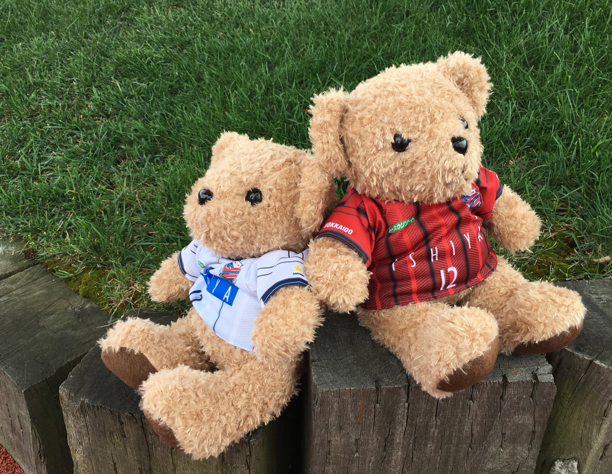 【Kaito】FC東京/テディベア 10/5(土)鳥栖戦『Teddy Bear Day』開催のお知らせ｜ニュース｜FC
