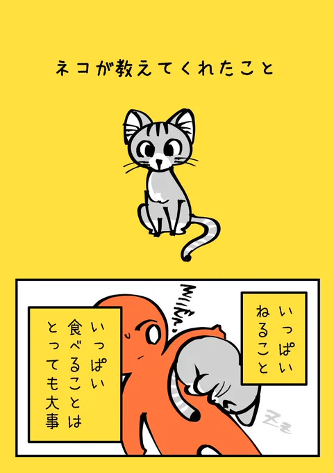 猫が教えてくれたこと　#創作漫画 #猫のいる暮らし 