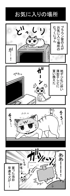 お気に入りの場所 #漫画 #猫 #エッセイ #4コマ #実録漫画 https://t.co/WjqLjB3xoB 