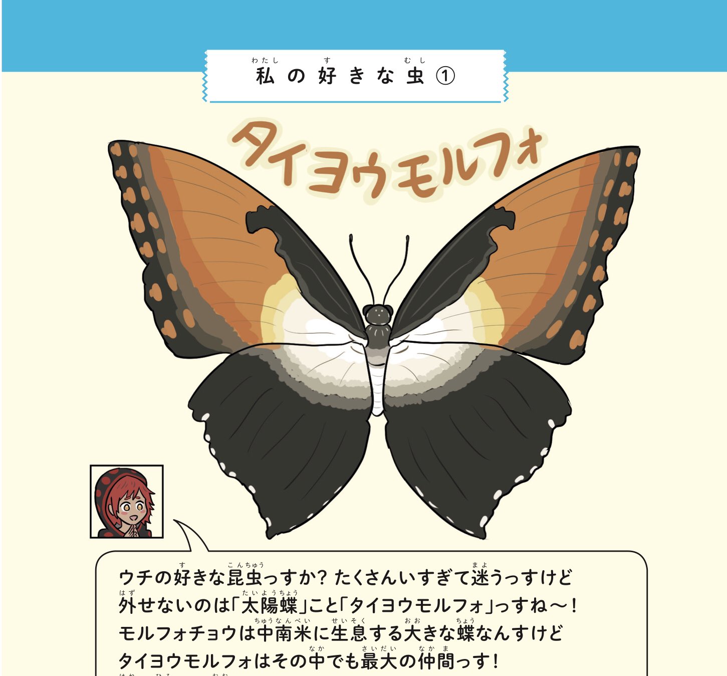 ぬまがさワタリ on Twitter: