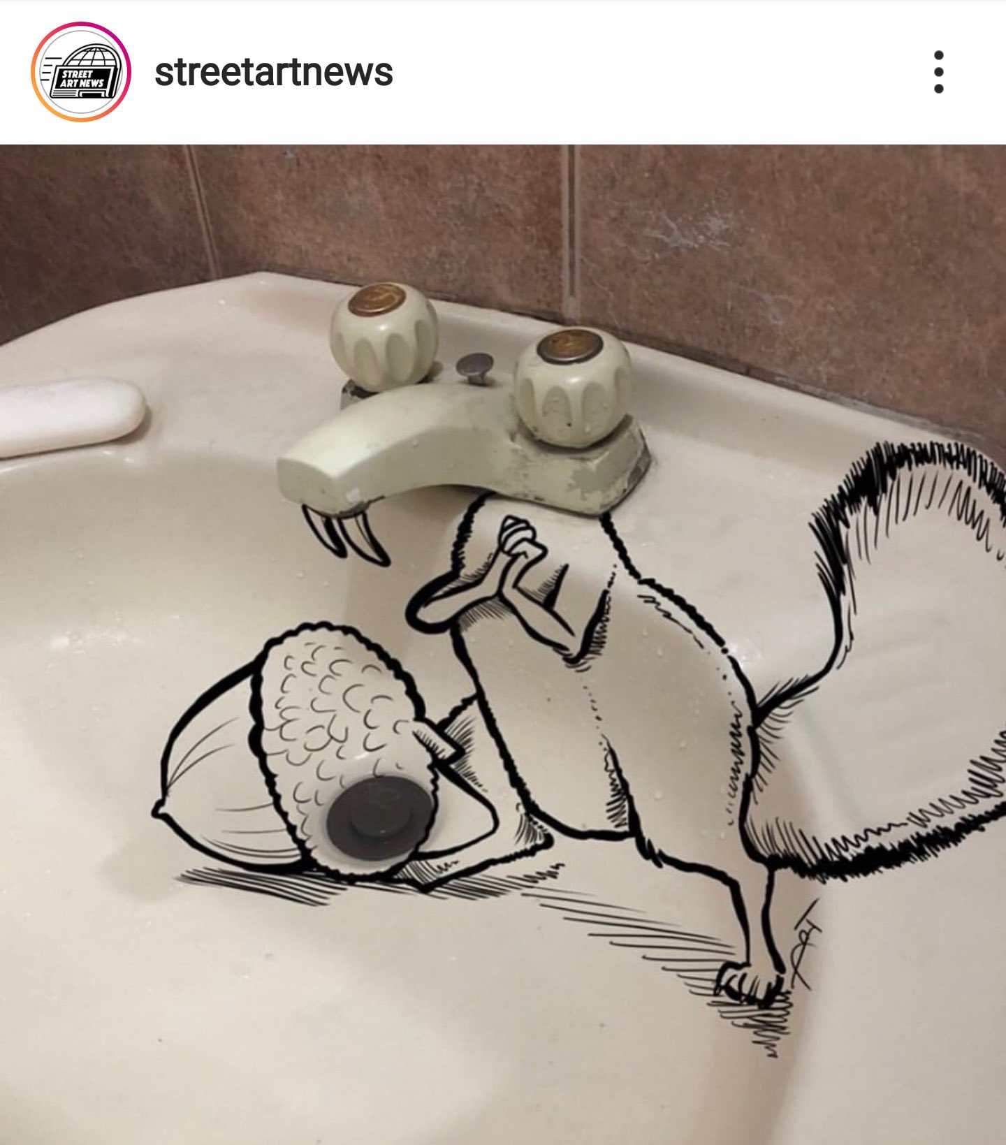 Смешные раковины