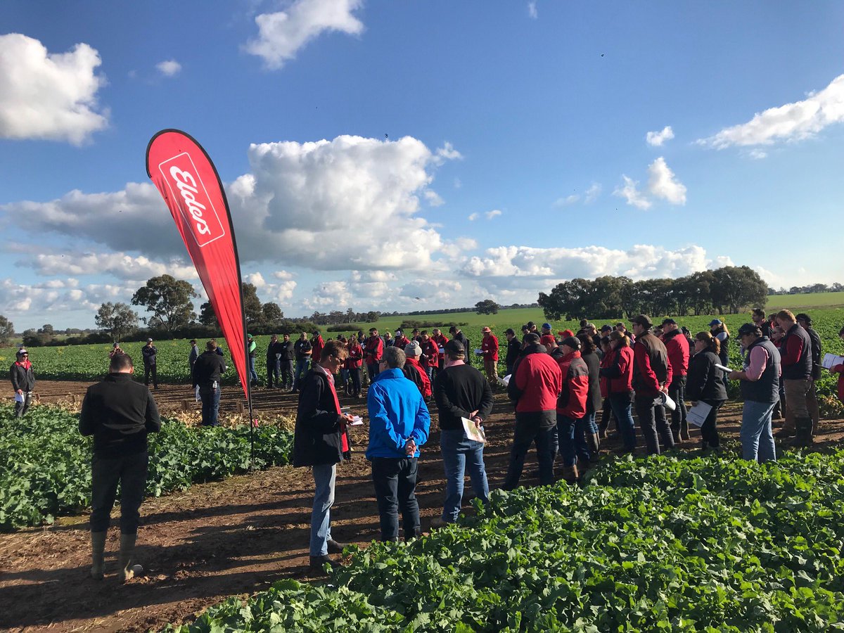 agromick82's tweet photo. Thanks Albury and Yarrawonga you have been awesome #acidsoil #gm #nolentils #noimi https://t.co/9cFy5mIofb