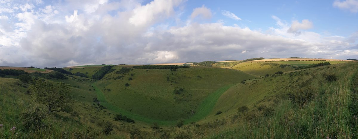 Leeds_print's tweet photo. Happy #YorkshireDay folks.

This picture was taken last night on a walk at #Millington Pastures - Gods own County (as they say). https://t.co/3ttqGRCklv