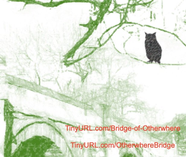 <<It is difficult to place this book in a genre. Is it a supernatural thriller; a kitchen sink drama; a romance? Possibly all three and perhaps why I found it so engaging. >> UK£: TinyURL.com/Bridge-of-Othe… US$: TinyURL.com/OtherwhereBrid… #Fantasy #Romance #Magic #Faerie