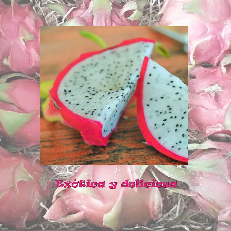 Estamos de #estreno en #LaHuertaDePancha. Ya se puede #disfrutar de una #delicia #exótica cultivada en #LaAxarquía: la#pitaya. No te quedes sin saborear la también conocida como#frutadeldragón😉Resérvalas ya o pídelas por unidades en tu cesta#FelizJueves

bit.ly/2MurQnT
