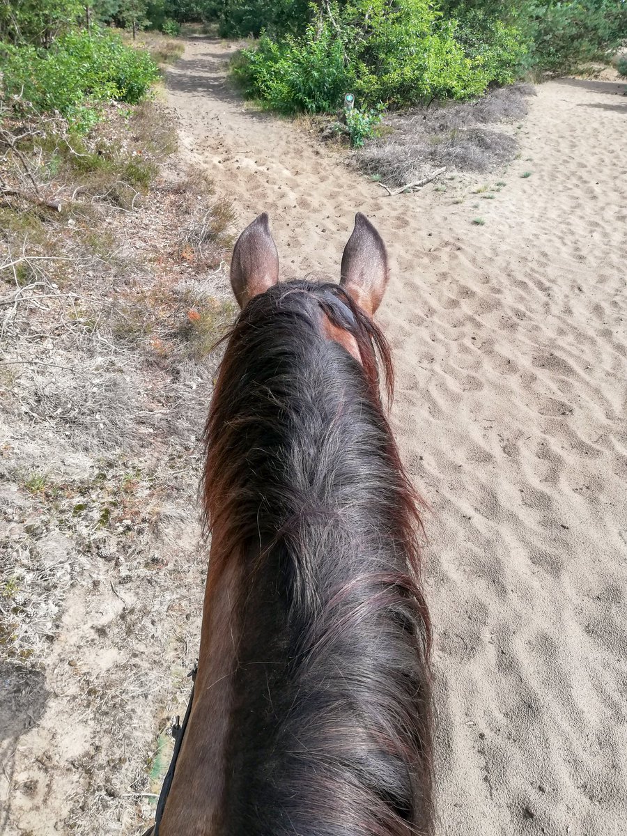 Genieten! #dagjevrij