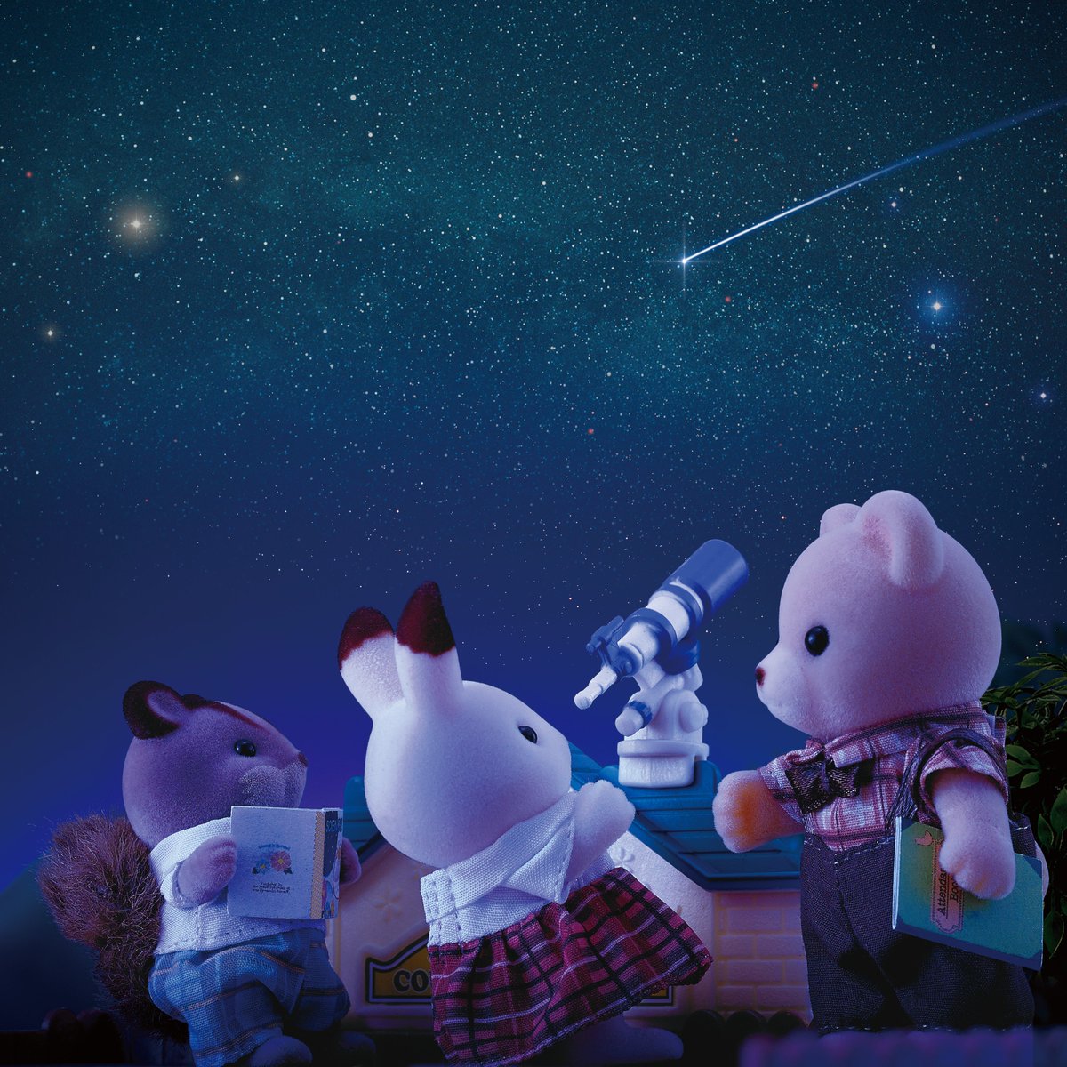 wish sylvanian families