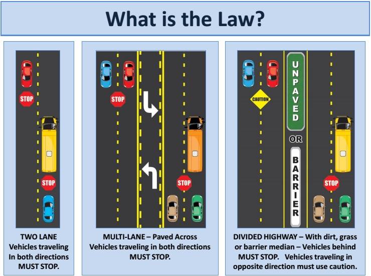 What are the Georgia Pedestrian Laws and Regulations?