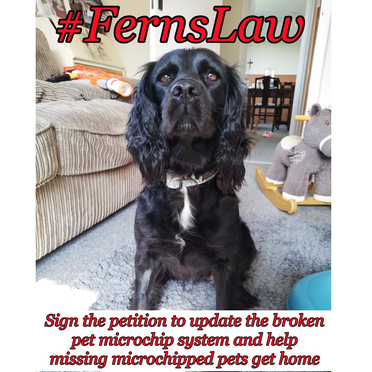 MakeChipsCount to Reunite Pets tweet media