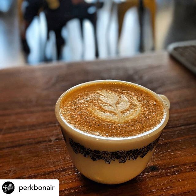 Good morning, coffee pros! Here’s a little cutie from <a href="/perkbonair/">Perk Bon Air</a> ift.tt/2OuvJvI