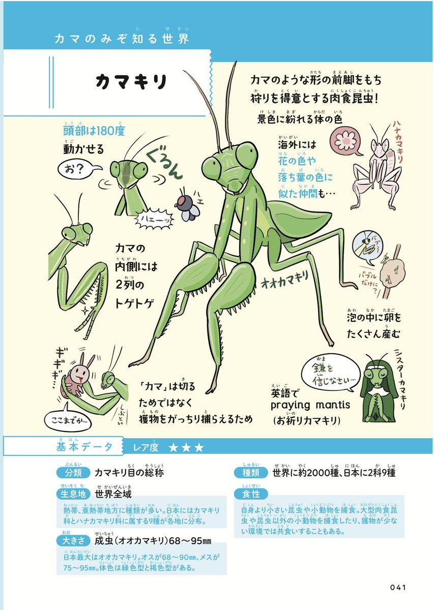 #昆虫やばいぜ 、カマキリ先生の昆虫語りが熱かったので、援護と便乗を兼ねて本日発売『超図解 ぬまがさワタリのふしぎな昆虫大研究』より「カマキリ」の図解ページを。その狩りの腕前は驚異的で、鳥や魚まで捕えるブレス・オブ・ザ・ワイルドっ… 