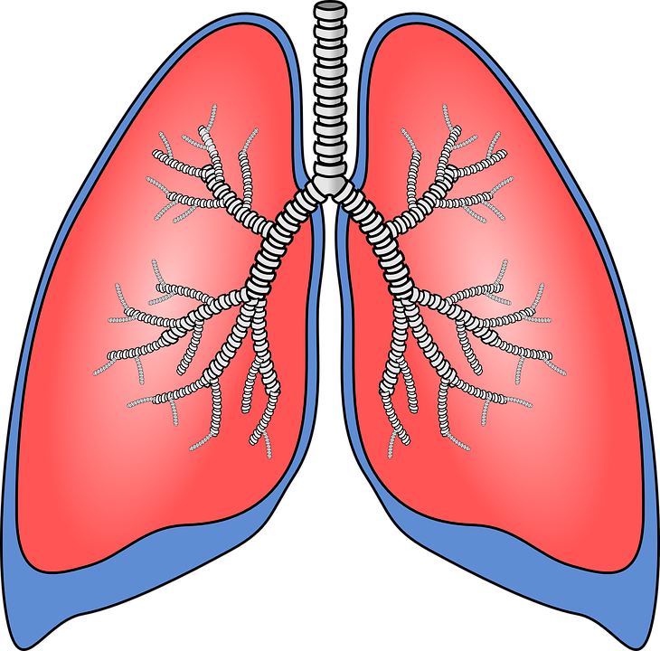 Omicsjournals's tweet photo. Multimodal Imaging in #Lung_Cancer: It Is Time to Change https://t.co/wukmvYuRkj https://t.co/gNa8WyFdDa