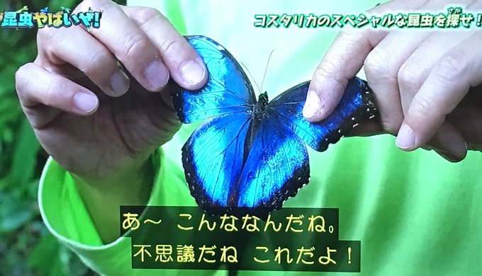 香川 照之 の 昆虫 やばい ぜ 香川照之の息子 香川政明の現在がすごい 歌舞伎の才能はどうなの 学校はどこ 香川 照之 の 昆虫 やばい ぜ 香川照之の息子 香川政明の現在がすごい 歌舞伎の才能はどうなの 学校はどこ