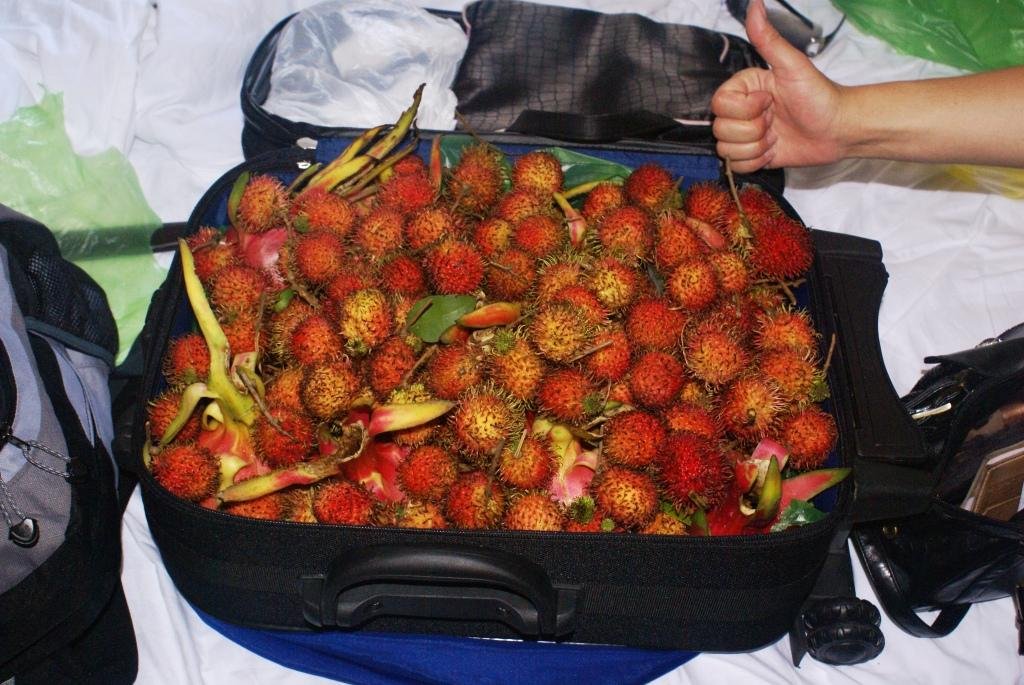 Провозить фрукты в самолете. Фрукты в чемодане. Самолет с фруктами. Фрукты в ручной клади. Фрукты и ягоды Тайланда.