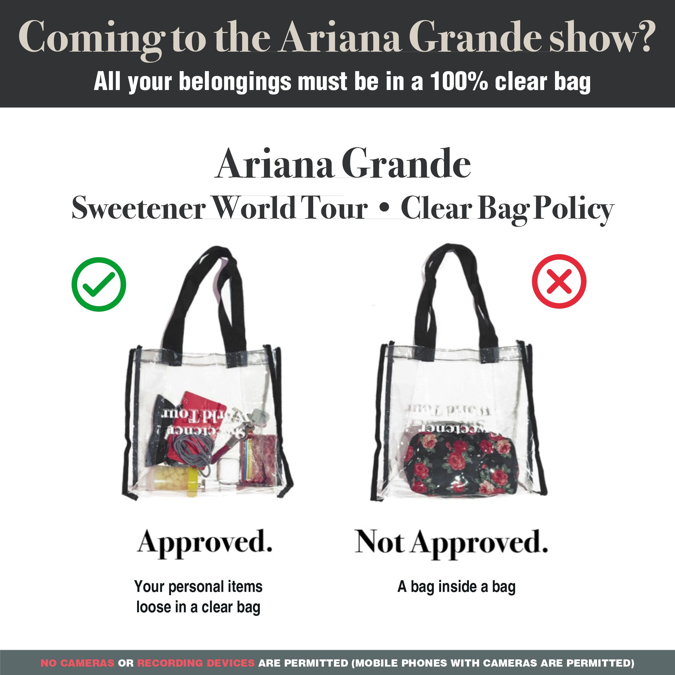Ariana Grande Sweetener Tour Tote Bags