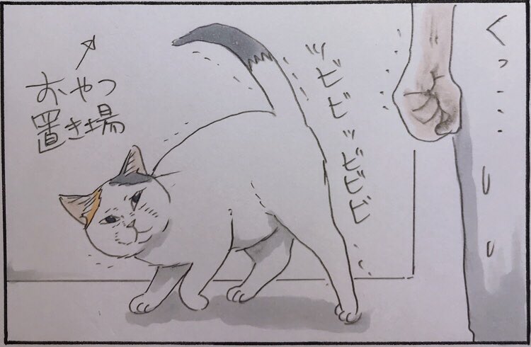 『太り猫のモチャ』 