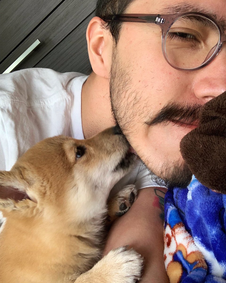 Ralderyx's tweet photo. “I’ll stand by you, I’ll stand by you, won’t let nobody hurt you, I’ll stand by you🎶”
#DākuTheShiba #ShibaInu #Puppy #PuppyLove #DogLove #71Days #PokemonTrainer #PumpkinDog #Mustache #iRobStar https://t.co/pvyGMkzue5