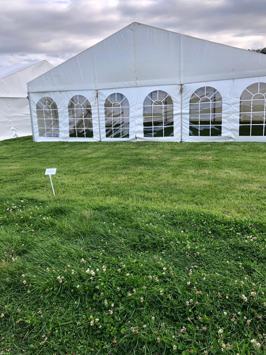 Blakesley Show preparation - Stage 1  = Complete ✅ The <a href="/Ellacotts/">Ellacotts</a> team are looking forward to what promises to be a great day. What will our competition entail this year? Come and visit our stand to find out! The winner🥇will be rewarded with #gin!