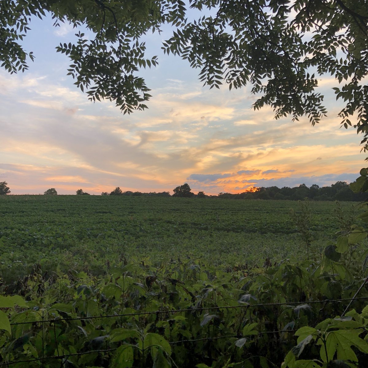 Another beautiful Indiana sunset!