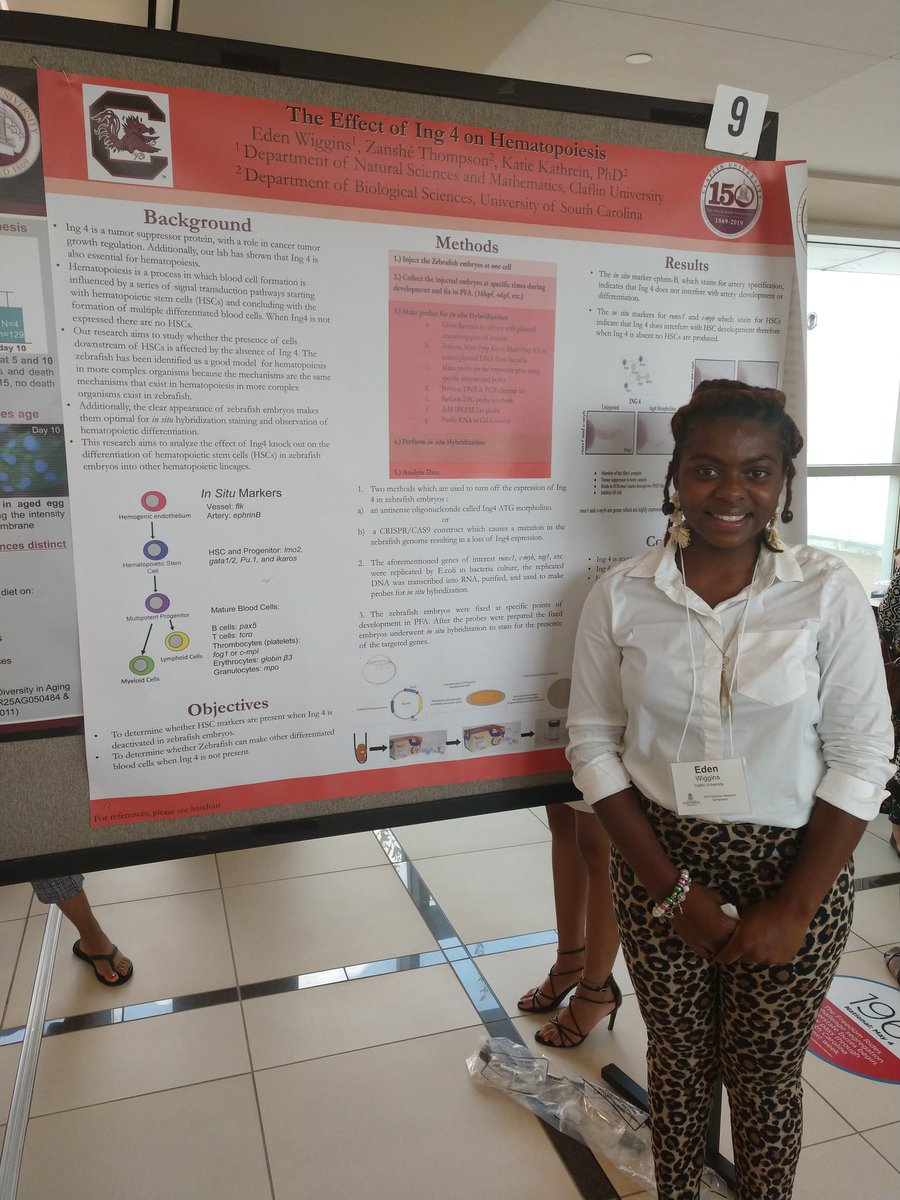 Georgin17793214's tweet photo. Very proud of Eden Wiggins of #Claftin University for her summer research in @KathreinLab, with mentoring by @STEM_doc_Z! https://t.co/5uXw2DQgaw