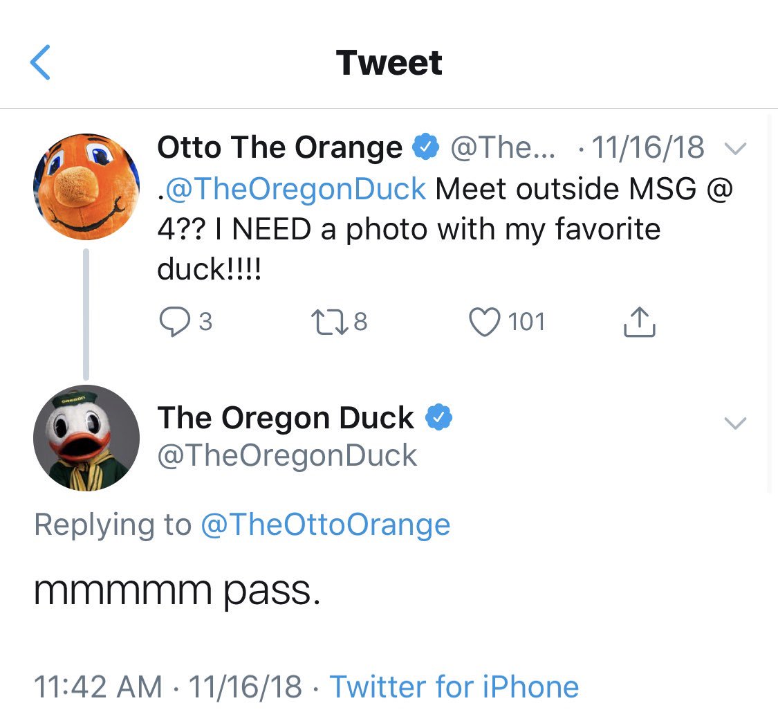 TheOttoOrange's tweet photo. Dreams DO come true!!!!!!!! 🍊🦆 https://t.co/O8T7CGdlAg
