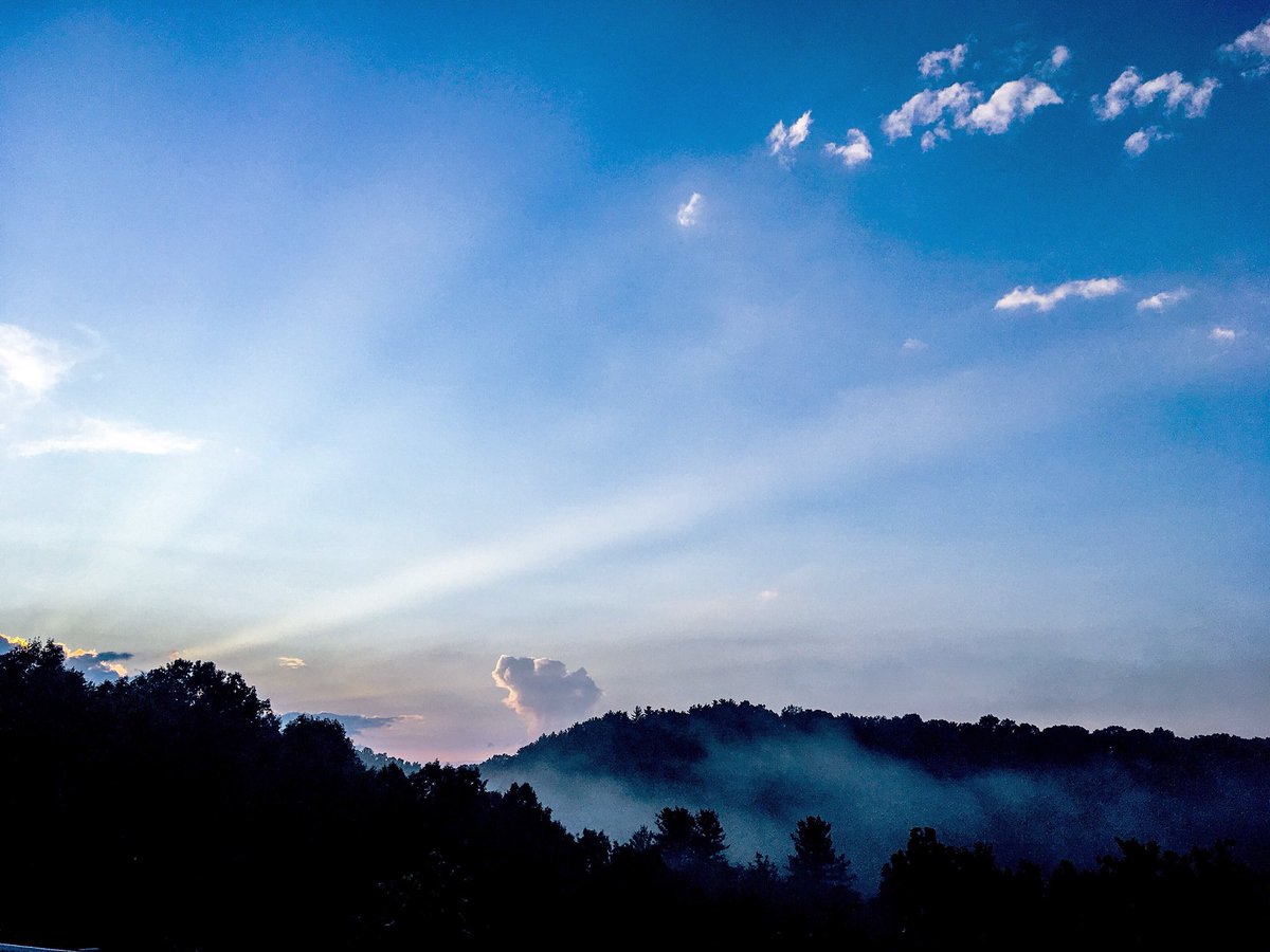 keepwaynewild's tweet photo. The forest is not here to provide us with “products.” Let @BLM_ES and @usfs_r9 know where you stand. #keepwaynewild #waynenationalforest #midohiovalley #appalachia #ohio #environmentaljustice #keepitintheground https://t.co/YOWKm4NukN