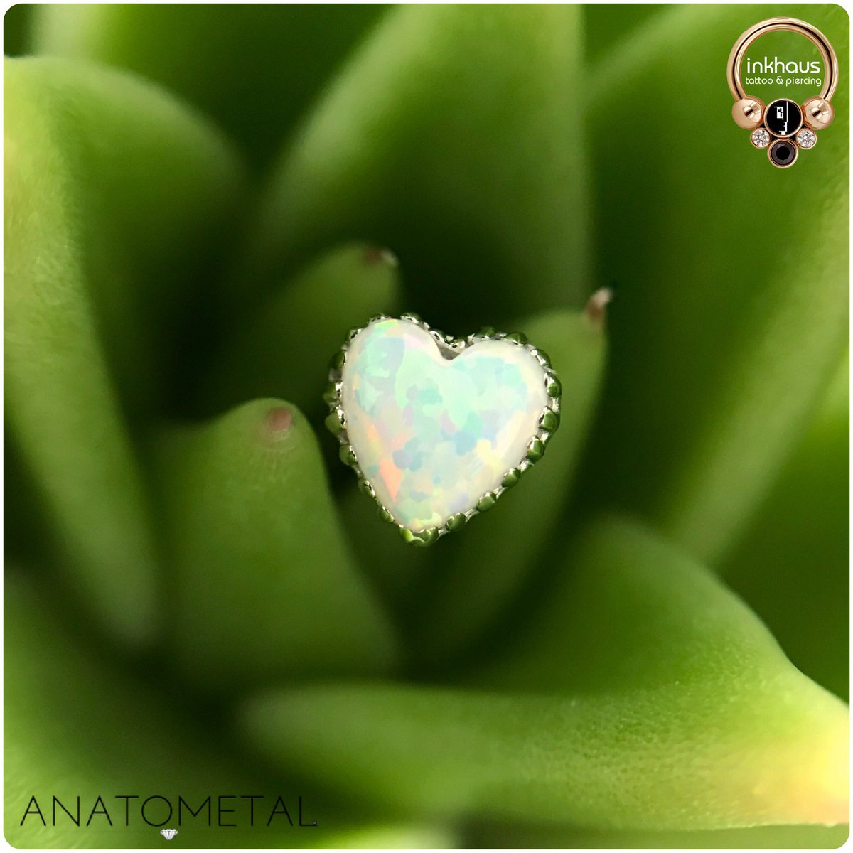 This client fell in love with this breathtaking white gold and white opal heart from @ANATOMETAL and we were able to attach it to a captive bead ring so that she could wear it in her brand new #daithpiercing! 😍