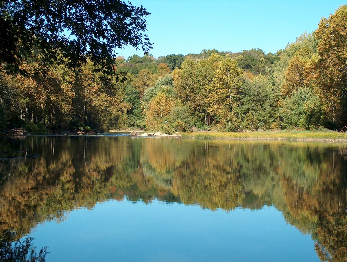 OHStateParks's tweet photo. The Little Miami River has the honor of being the first designated State Scenic River. The river is also notable for its 340 species of wildflowers, as well as populations of hemlock and juniper which are remnants of Ohio’s glaciated past.  #paddleohio #ohiofindithere https://t.co/ia82ohEh4u