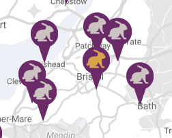 RabbitRWAF's tweet photo. Your rabbits deserve the best care, which is why we have made a list of all the best rabbit-friendly vets in the UK with the RWAF Gold or Silver seal of approval. Find your nearest rabbit-friendly vet today by following the link below: https://t.co/5eHygh07pA 🏥 https://t.co/JFb5K4d6WU