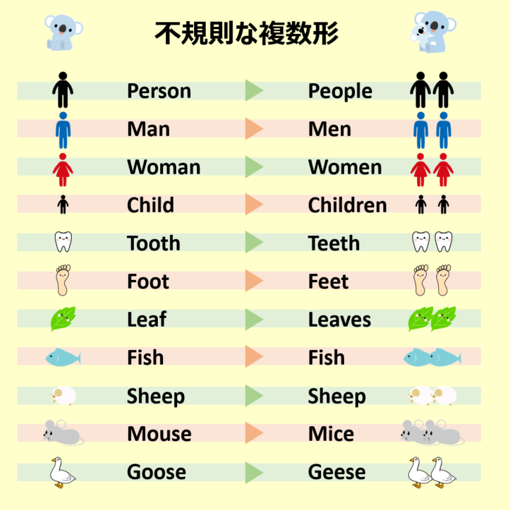 こあたん こあらの学校 不規則な複数形